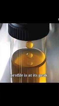 #Organic #EssentialOil Distillation: Steam-extracting oils from organic Plants