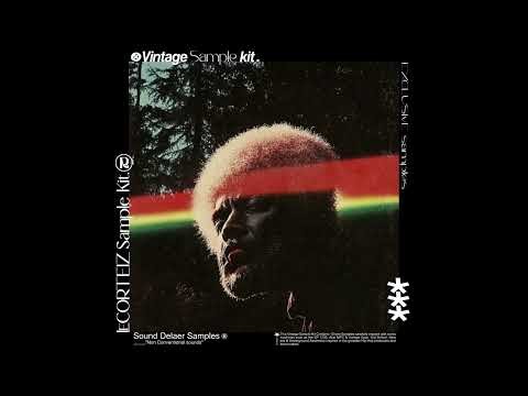 VINTAGE SOUL/JAZZY 90s SAMPLE PACK "LECORTEIZ" (Mf Doom, J Dilla, Joey Badass, Wu Tang)