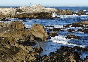 Asilomar State Beach - Alchetron, The Free Social Encyclopedia