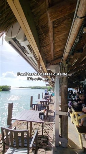 Come test our theory at Geiger Key Fish Camp. 🌞🎣⚓️🛖🍽 #GeigerKey #KeyWestEats #IslandVibes #DocksideDining #SeafoodShack #KeyWest #WaterfrontEats #SunshineAndSeafood #FloridaKeys #FloridaKeysRestaurants #TikiHut #WaterfrontDining | Geiger Key Marina and Fish Camp