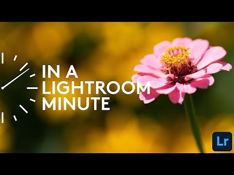How to Save Edits as Presets in Lightroom | In A Lightroom Minute | Adobe Lightroom