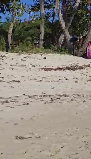 Kadavu Rugby Union on Reels