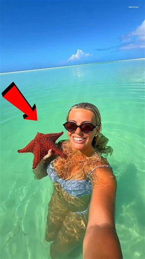 Why You Should Never Take A Starfish Out of the Ocean for Reel ⭐