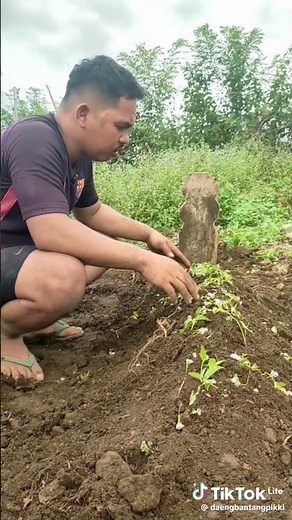 #jalanyangjauhjanganlupapulang