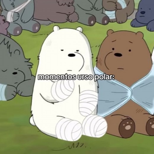 urso polar tem o molho #ursosemcurso | polar bear