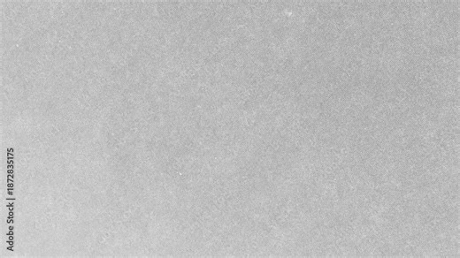 Animated Paper Grain Texture Loop.Seamless looping animation of subtle grain and noise on a light gray paper texture