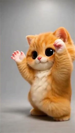 Dig Dig Go Massive Dance By Jono....