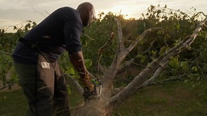 Was $499.99, now $299.99. Shop the Greenworks 60V 21-in Cordless Battery Brushless Walk Behind Push Lawn Mower at Your Local Tractor Supply Co.! | Greenworks