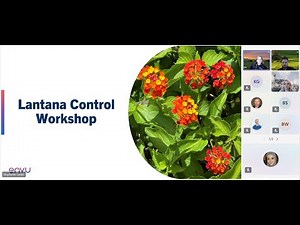 AU Online Workshop Effective Lantana Control with Method 240SL Final