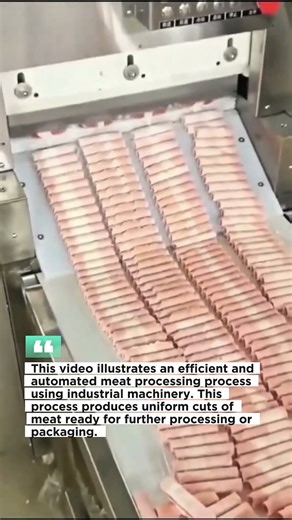 This video illustrates an efficient and automated meat processing process using industrial machinery