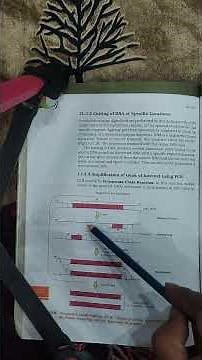 PCR polymerase chain reaction #biology #neet