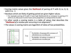Scoring Schemes in Pairwise Alignments