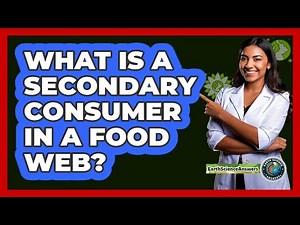 What Is A Secondary Consumer In A Food Web?