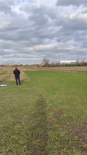 Landing of the Europa F3A aircraft model.#f3a #landing #training #rcplane #rchobby #shortvideo