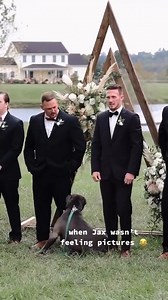Jax seems camera-shy today 🐕🏃 🎥 : @asimonproductions #funnyreels #funnyvideo #wedding #funnydogs | ModernWedding
