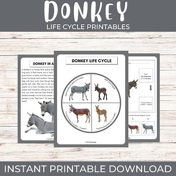 Life cycle of a Donkey | Farm Animals science unit study with fun facts!