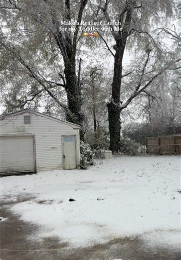 Here’s a realistic lunch I made for my toddler. What is your go to kid lunch? @Bloom Nutrition #giftedbybloom #kidlunchideas #toddlerlunchideas #kidmeals #toddlermom