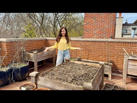 Ranking All The Beds In My Rooftop Garden 🪴 Which Is My Number 1?!