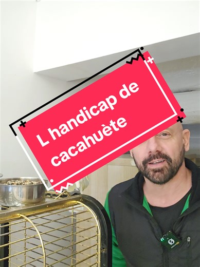 Cacahuète ne peut plus ouvrir ses ailes. Elle ne peut plus voler. Elle ne peut pas tenir sur une patte. Elle ne peut même pas se mettre sur le dos, parce qu’elle n’arrive pas à se remettre droite toute seule. Cacahuète a un handicap énorme pour un oiseau. Et si je ne suis pas là pour la protéger, elle pourrait se faire attaquer par n’importe qui. Alors oui, elle dépend de moi, mais moi aussi je dépends d’elle. On se protège mutuellement, tous les jours. #sauvetage #cacatoes #bird_man_nico