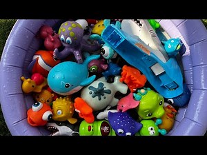 Ocean Animals for Kids | Learn Sea Creature Names & Fun Facts with Marine Animal Toys