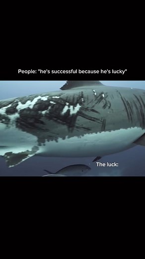 What luck is: preparation meeting opportunity. cr-@wisetality Luck Favors the Prepared The more you develop your skills, the more "lucky" you become when opportunities arise. Hard Work Creates Luck The people who seem lucky are usually the ones who put in the most effort behind the scenes. Opportunities Are Always There Most people don’t see them because they aren’t ready to take advantage of them. Taking Risks Increases Your Chances Staying in your comfort zone won’t bring luck—stepping out and