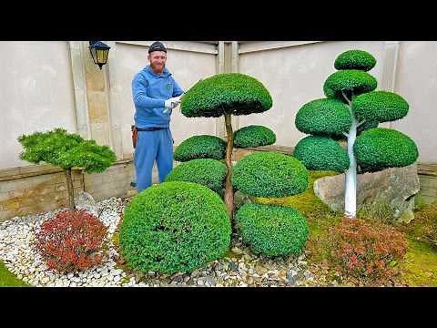 He Turned a Tree Into Floating Clouds — Unreal Topiary Art!