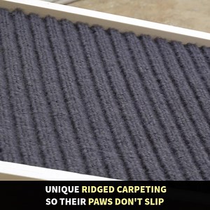 2.2K reactions · 569 shares | The #1 Vet-Recommended way to protect...