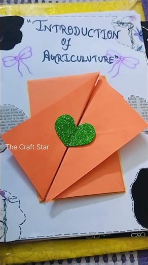 Project file on agriculture #class10 project file of social science#how to make project file #cbse