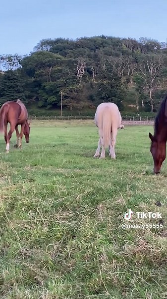 Exploring Bridgend: A Hidden Gem in Wales