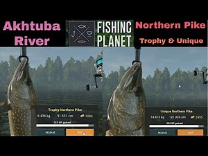 Fishing Planet, Akhtuba River, Northern Pike, Trophy & Unique