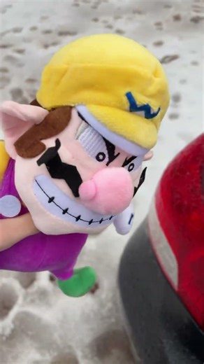 Wario and Waluigi in the snow