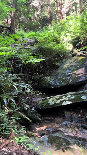 宝篋山の魅力を探索しよう