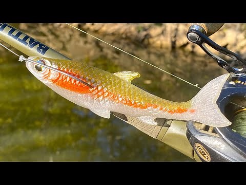 Making a Finesse Minnow FlatSided JerkBait