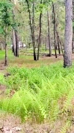 When the Duke boys are spotted by Cletus across town! Support the @HazzardCountyLawEnforcement while Enos makes his way as backup for Cletus!