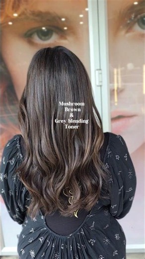 New Mushroom Balayage with Grey blending toner!! #Australia #brisbane #balayage #greyblending #kpop