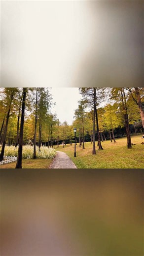 SHOP NOW https://geni.us/NEEWER-LS-45  Snap on the NEEWER LS-45 Wide Angle Lens for OSMO Pocket 3 – 108° views, stunning depth, ultra-light for epic shots anywhere! | Neewer | Facebook