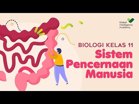 High School Biology Grade 11 - Human Digestive System | GIA Academy
