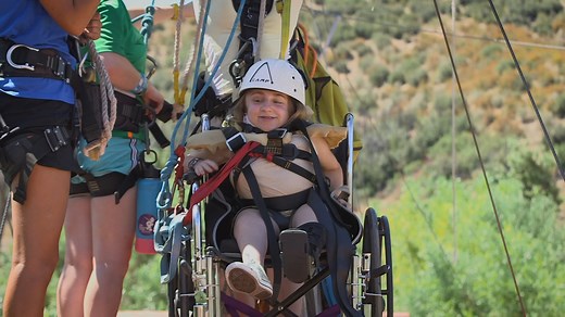 The Painted Turtle, Our Story