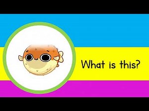 Sea animals for children | Talking Flashcards | ESL Vocabulary