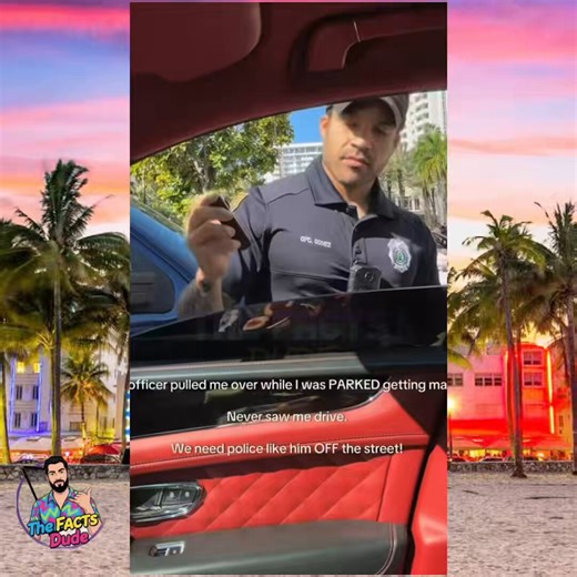 NEW: Miami woman accuses police of racial targeting and attacking her in front of her daughter during traffic stopThe incident began when officers ticketed her for having an illegal tent on her SUV. She was then cited for failing to provide insurance and registration documents, and for not wearing a seatbelt.She requested a supervisor but says none was provided. Fearing for her life as three officers were on scene, she called 911 asking for additional officers to respond.