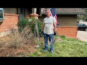 How to remove a bush and stump with a reciprocating saw (saws-all)