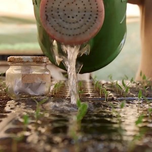 20K views · 239 reactions | Preserving and planting traditional seeds can help mitigate the effects of climate change. | UN Women | Facebook