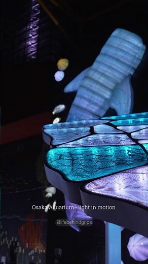 One of Osaka’s Most Amazing Attractions | Kaiyukan Aquarium Tour 🇯🇵 #shorts