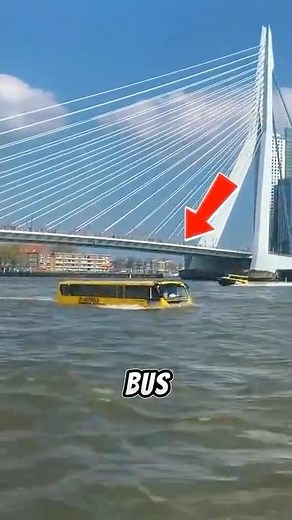 Mind-Blowing Bus That Floats Like a Boat! 🚍🌊