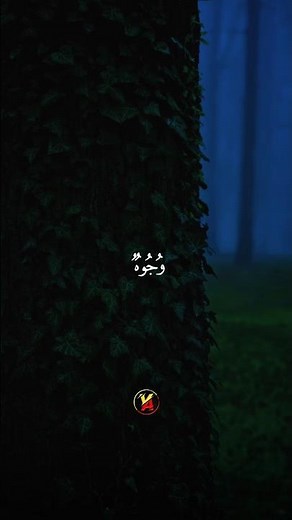 سورة الغاشية | تلاوة مؤثرة عبدالرحمن مسعد 😧💫 #quran
