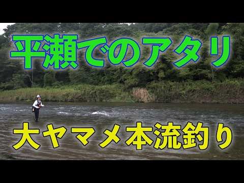 Fishing for large cherry salmon in the main stream: A bite in the shallows.