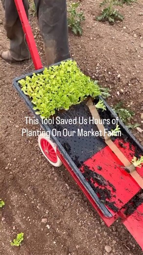 High-Yield Market Farming | We used to spend hours hunched over, transplanting every tray by hand - slow, repetitive, and exhausting. Then we started using the... | Instagram