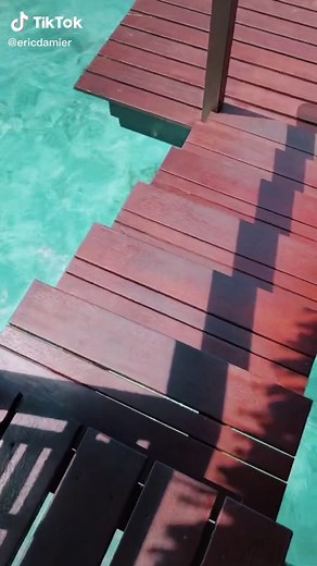 ericdamier on TikTok