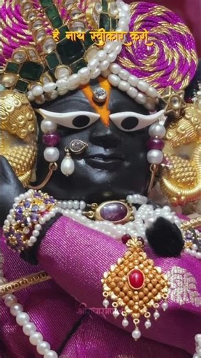 हे नाथ स्वीकार करो 🥺💙🌺 #vrajkelal #radharamanlal #vrindavan #merothakur #meroradharaman