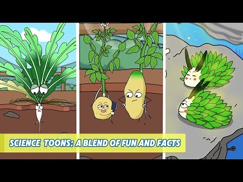 Plant Cartoons Meet Science: Explaining Complex Concepts in a Simple and Fun Way#funny #video